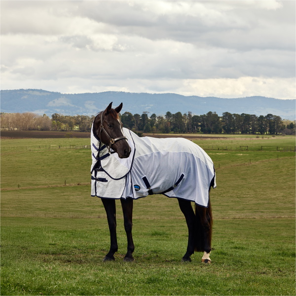 2026 Airstream Combo « WeatherBeeta » 1029979 - Blanc / Navy